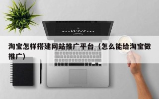 万宁淘宝怎样搭建网站推广平台（怎么能给淘宝做推广）